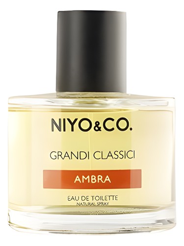 Ambra