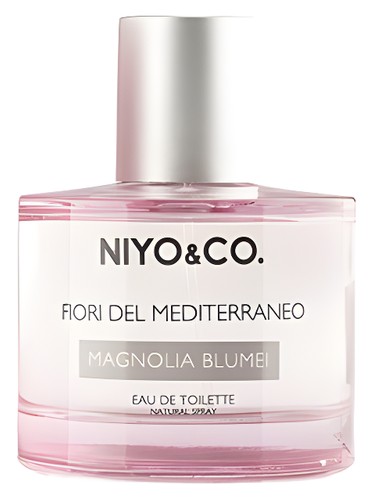 Magnolia Blumei