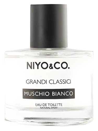 Muschio Bianco