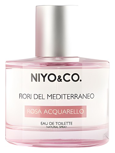Rosa Acquarello