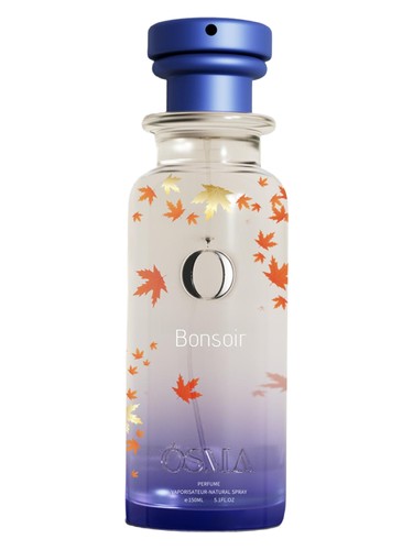 Bonsoir