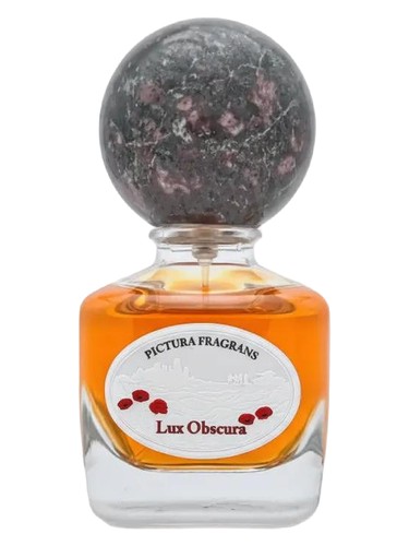 Lux Obscura