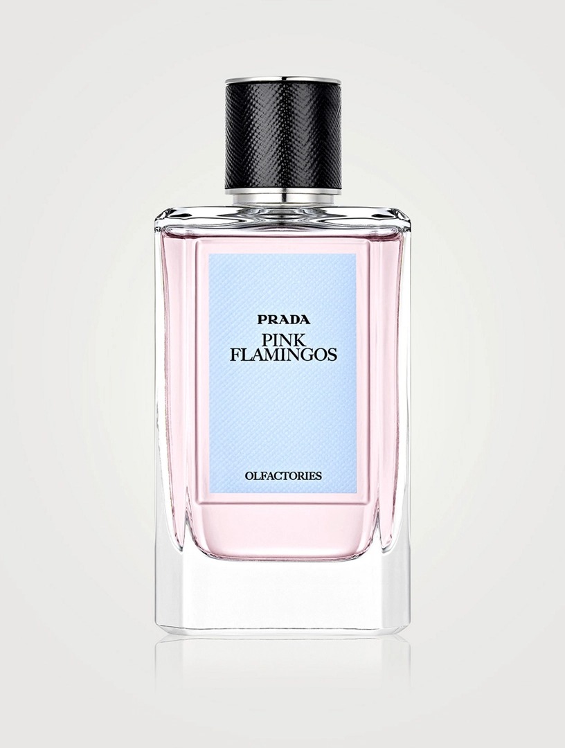 Pink Flamingos EDP