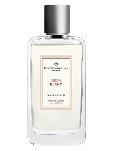 Cèdre Blanc