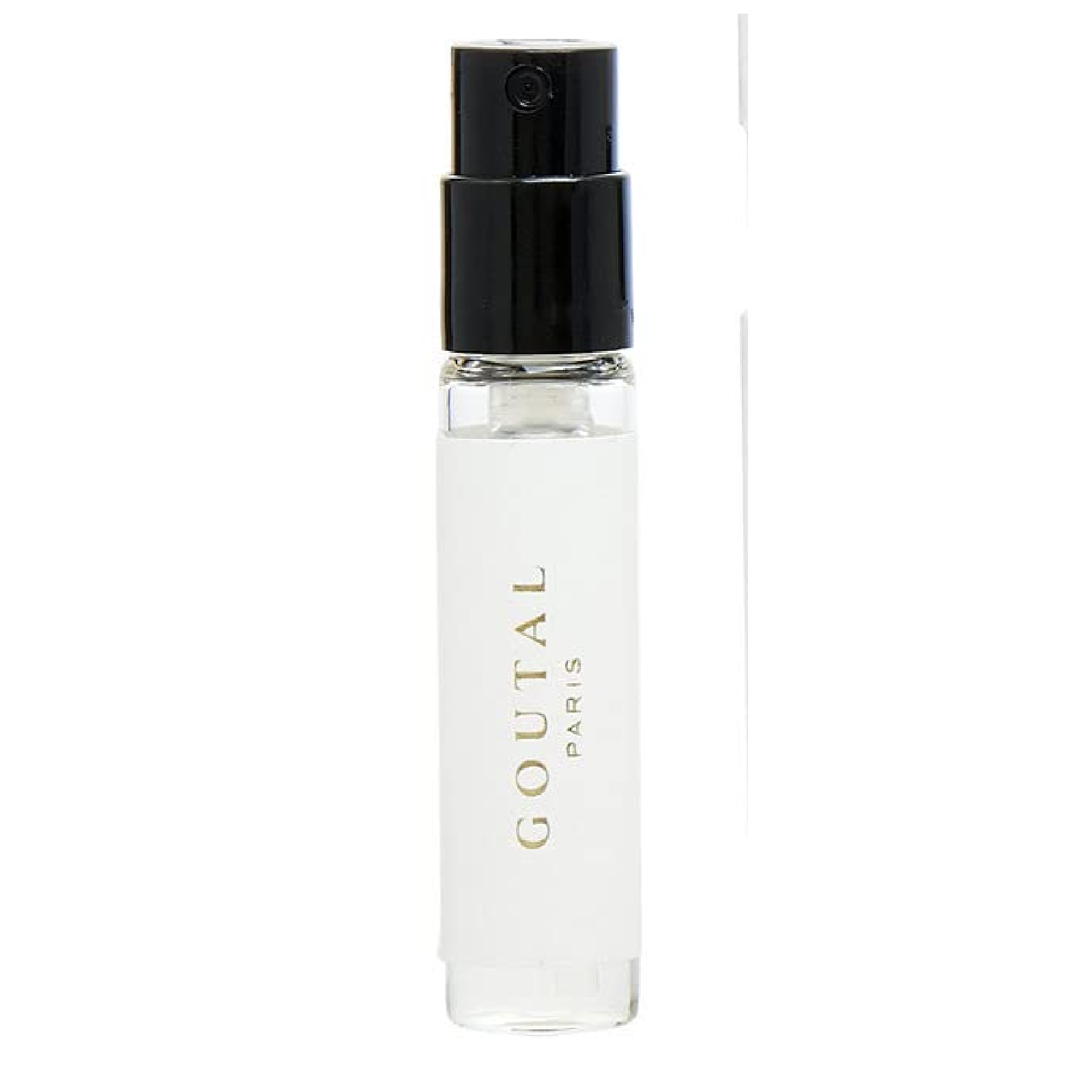 Rose Pompon EDP