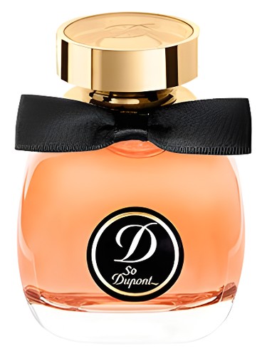So Dupont Paris by Night Pour Femme
