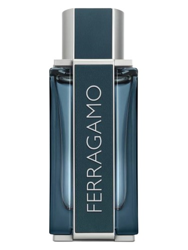 Ferragamo Intense Leather