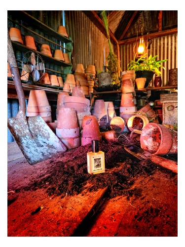 Wilcox's Potting Shed