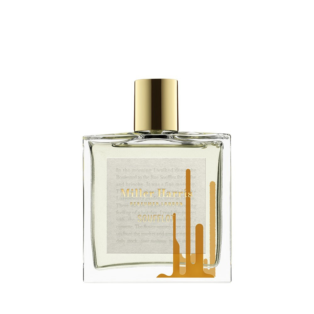 Soufflot EDP