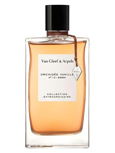 Orchidée Vanille