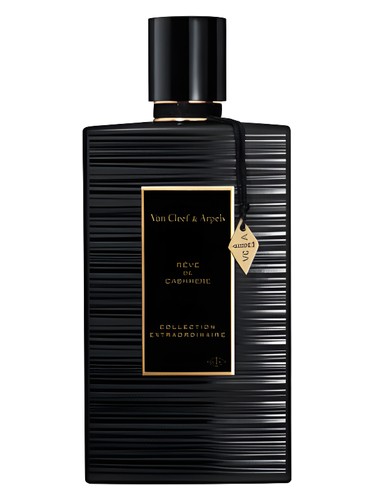 Rêve de Cashmere