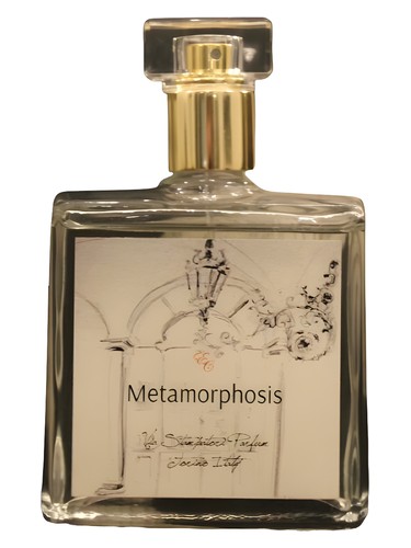 Metamorphosis