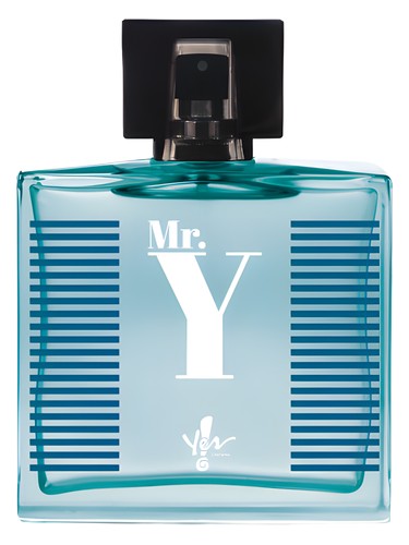Mr. Y