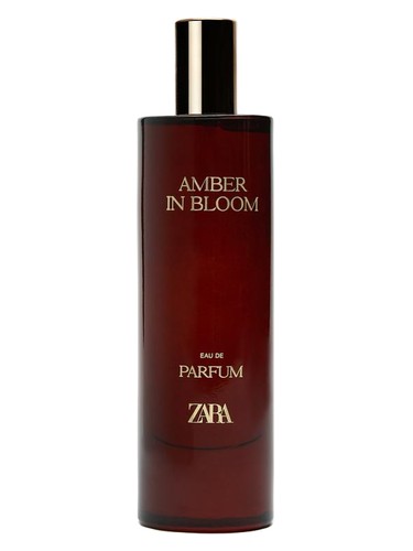 Amber In Bloom