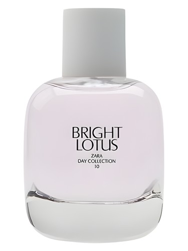 Bright Lotus