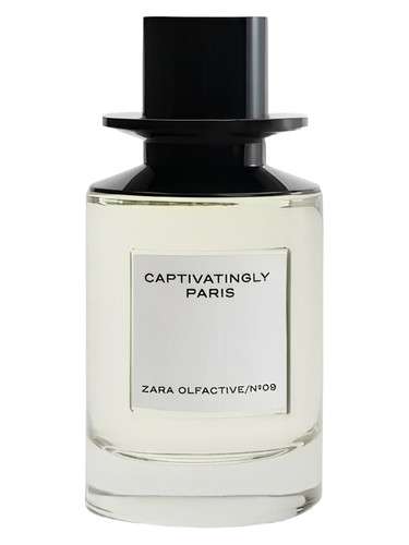 Captivatingly Paris