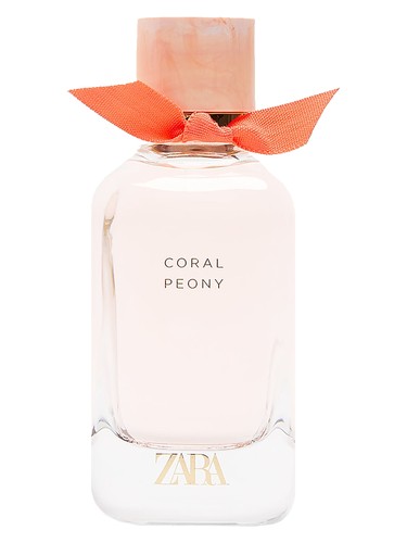 Coral Peony