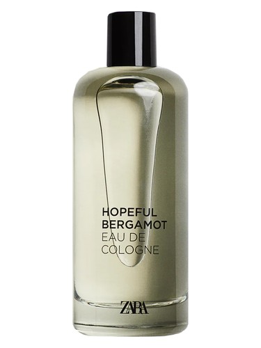 Hopeful Bergamot