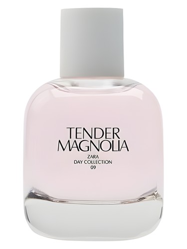 Tender Magnolia