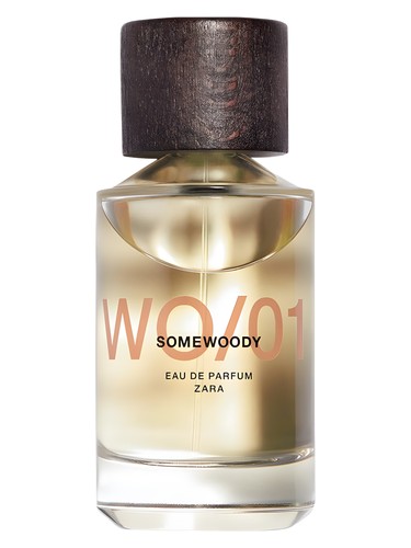 WO/01 Somewoody